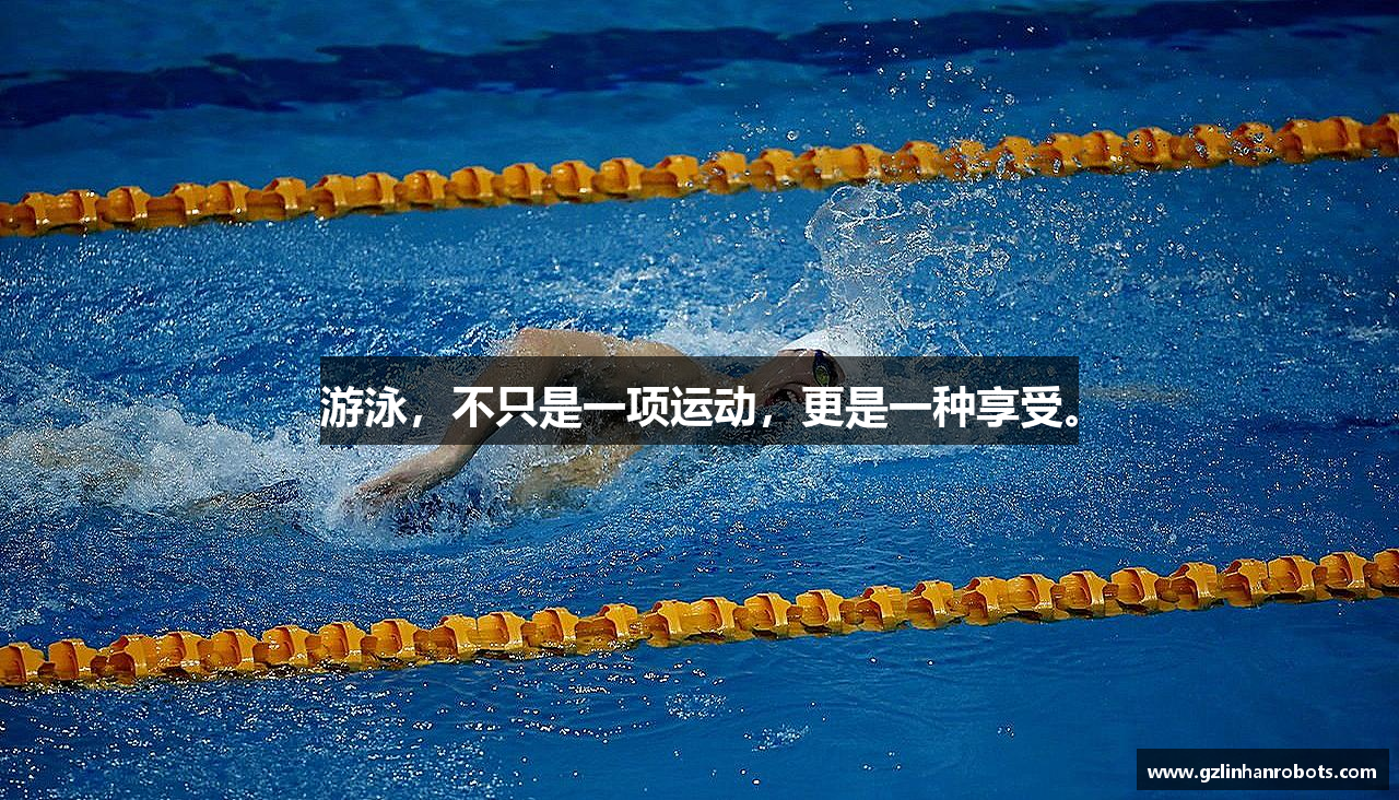 dg视讯官网